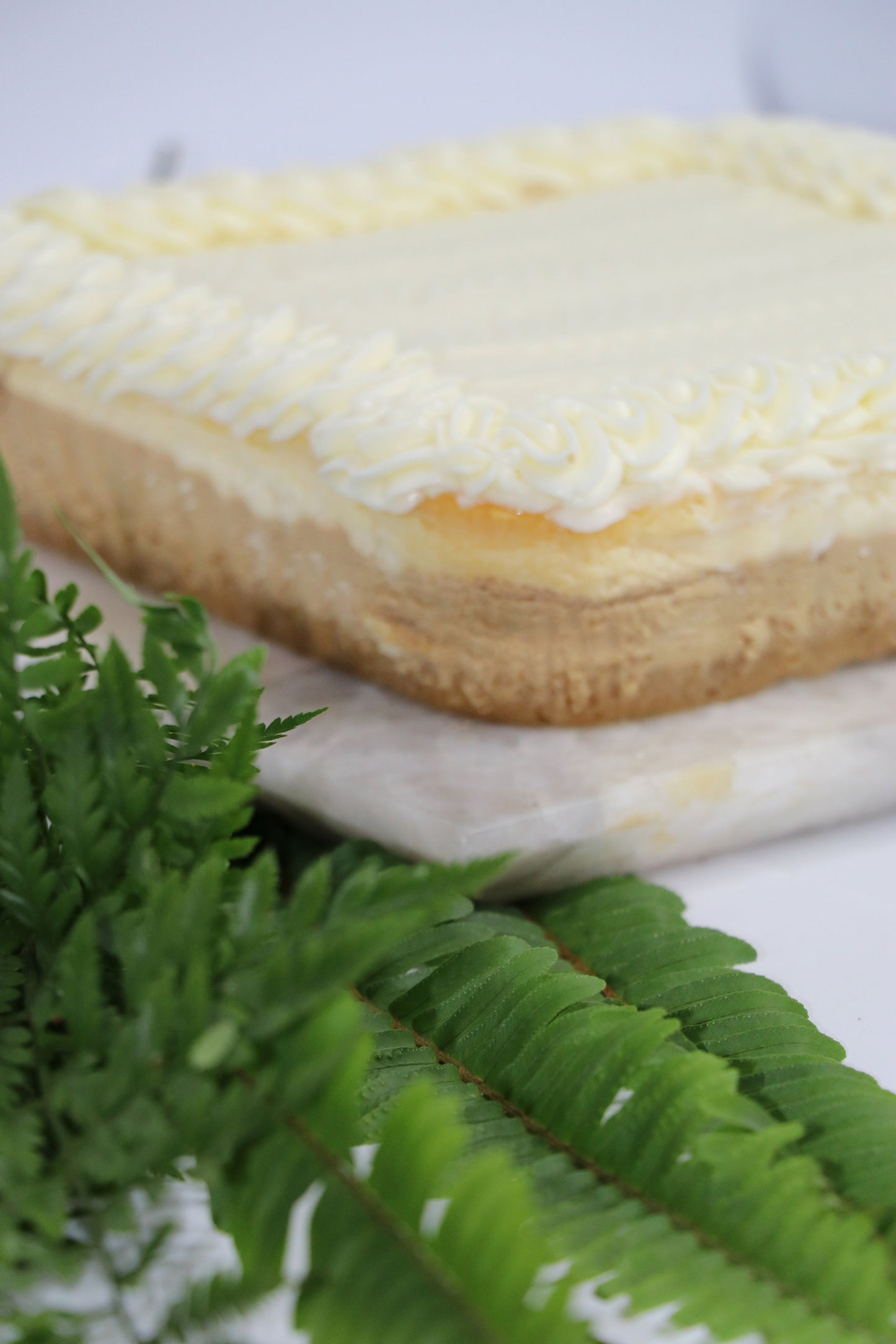 Hazelnut Espresso Cheesecake